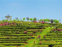 �S�����r(n��ng)��I(y��)�Ԙ�(bi��o)��(zh��n)�����_������Ʒ�|(zh��)�ò�