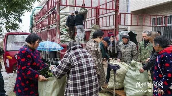 ���������N����