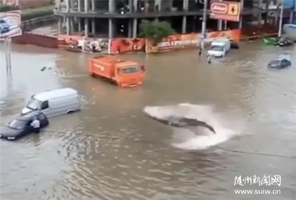 �o�����{���P(gu��n)�����ݱ�����@Щ��Ϣ�e�ńe��