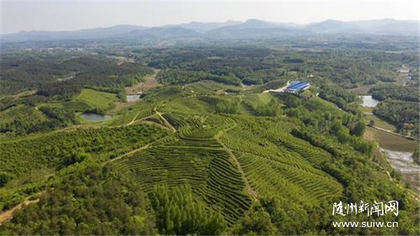 �����ɽ�������h������ �����������dʳƷ�����S�ݲ��~���ڡ���Ԓ��